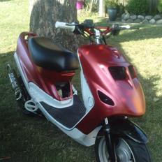 Kreidler Easy Rider SOLGT