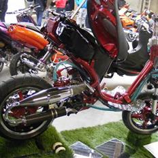 Peugeot TeamSpeedFight