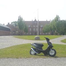 PGO Hot 50 (SOLGT)