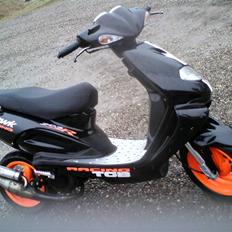 TGB Pegasus 303r Hawk