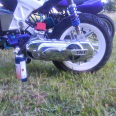 Suzuki street / byttet til jog