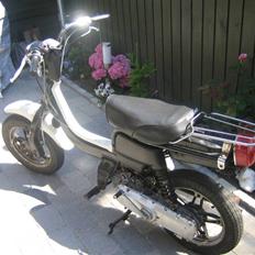 Suzuki FZ 50 // SOLGT //