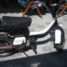 Suzuki FZ 50 // SOLGT //