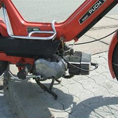 Puch Maxi...Byttet..