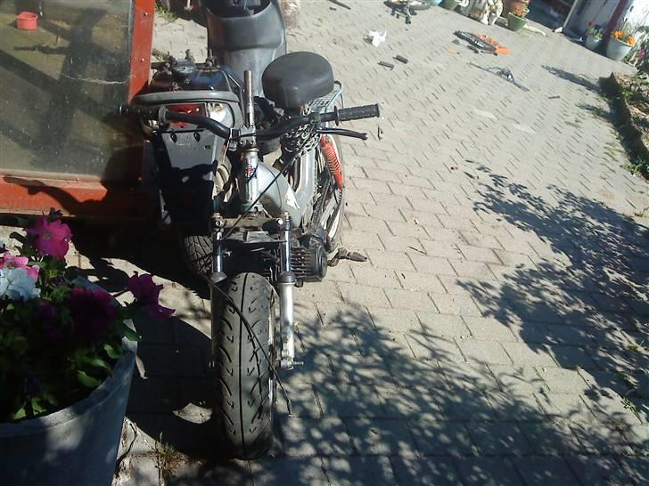 Tomos quadro - NU ! billede 7