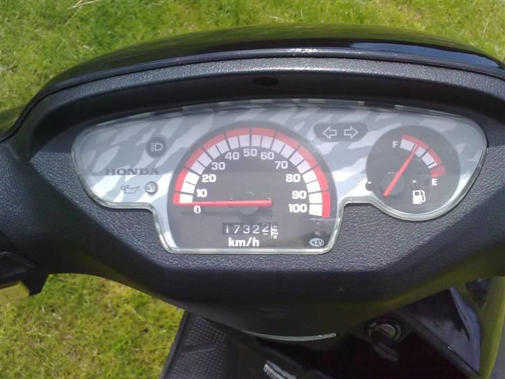 Honda SFX (SOLGT) billede 5