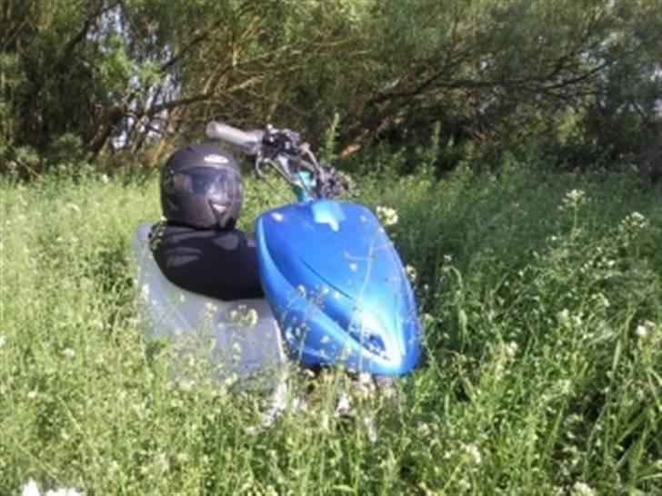 PGO hot 50 billede 1