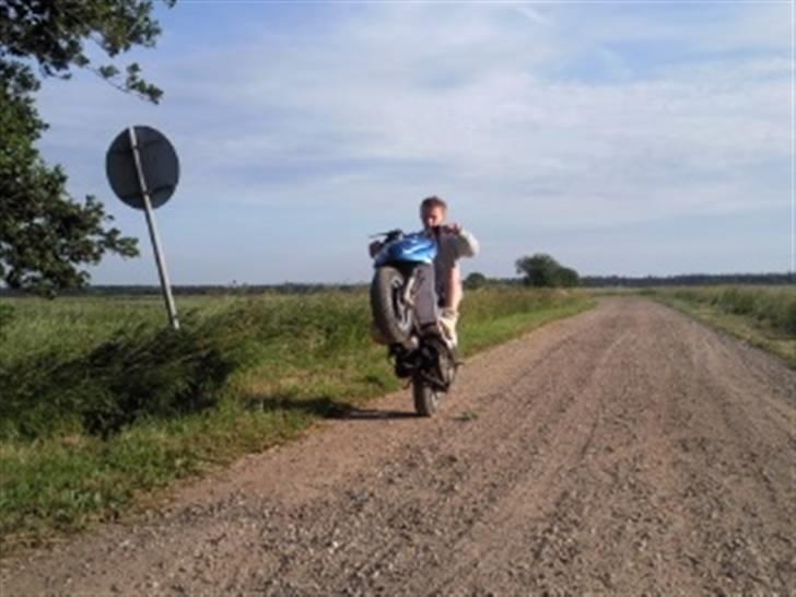 PGO hot 50 billede 7