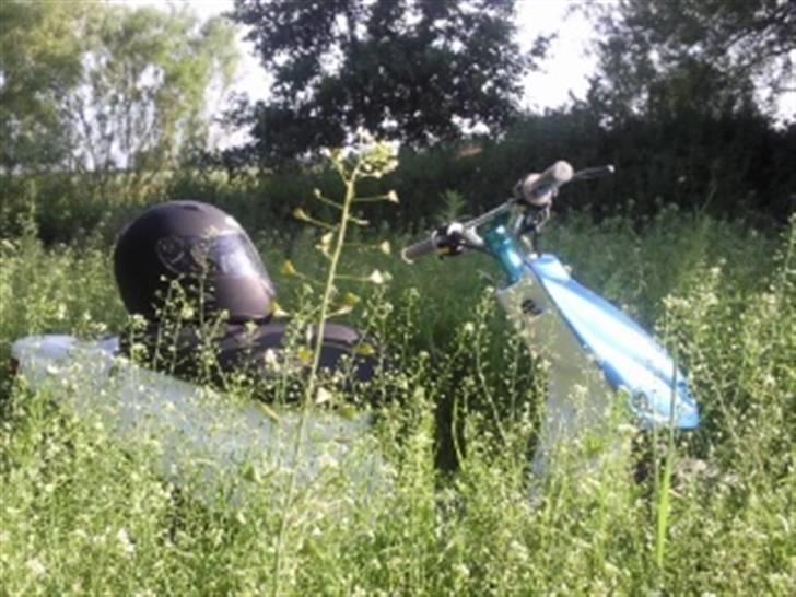 PGO hot 50 billede 12