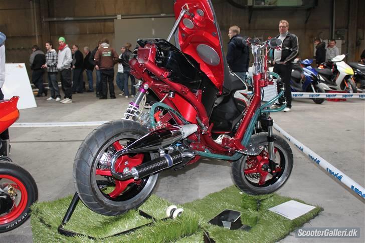 Peugeot TeamSpeedFight billede 6