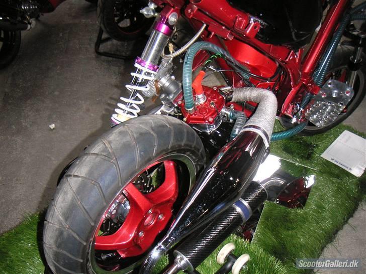 Peugeot TeamSpeedFight billede 10