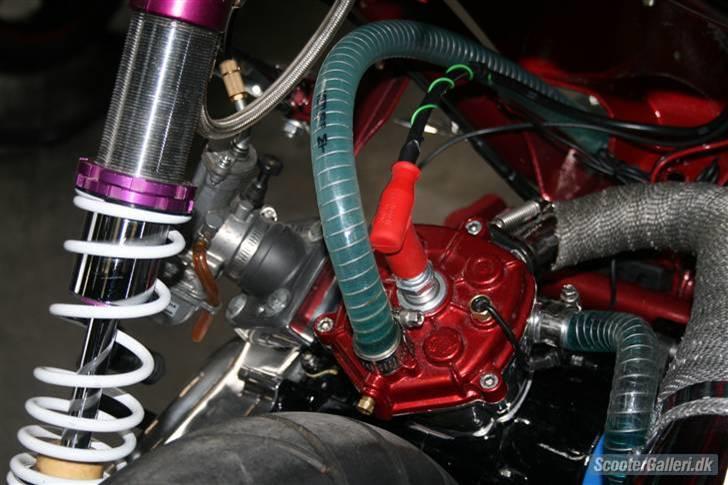 Peugeot TeamSpeedFight billede 12