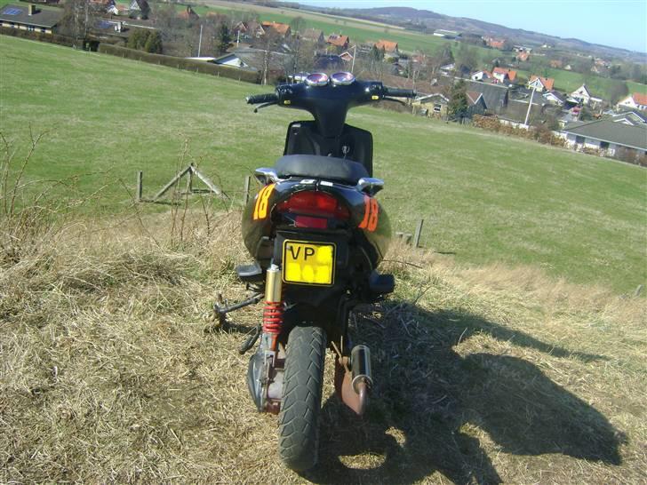 TGB Pegasus 303r Hawk billede 5