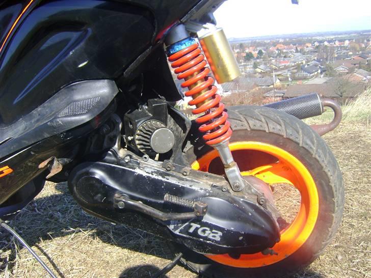 TGB Pegasus 303r Hawk billede 6