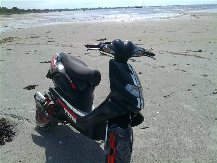 TGB Pegasus 303r Hawk billede 7