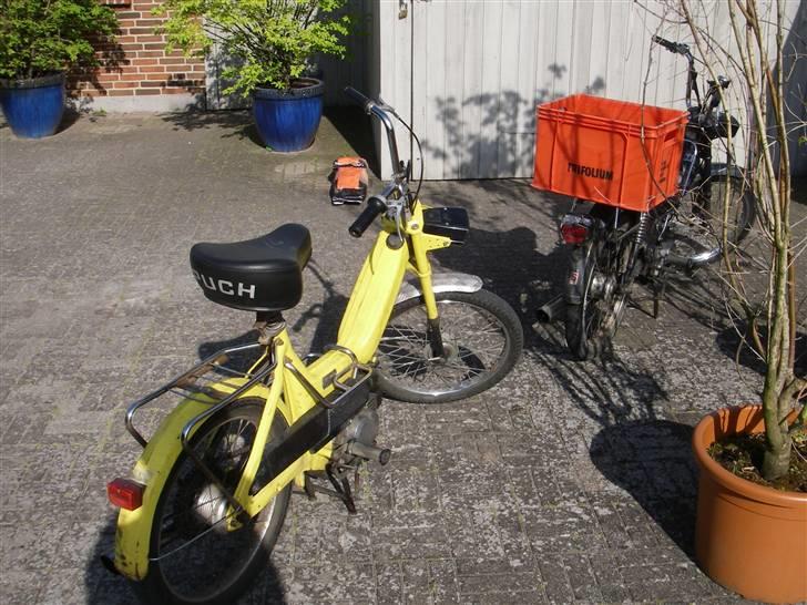 Puch Maxi K "Det Gule Ådsel" billede 2