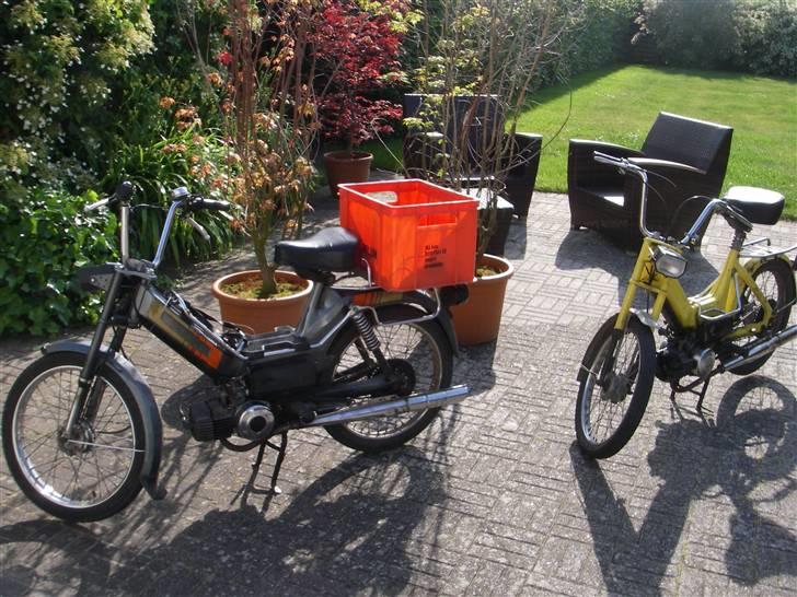 Puch Maxi K "Det Gule Ådsel" billede 7