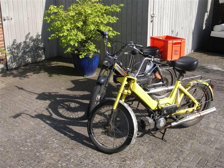 Puch Maxi K "Det Gule Ådsel" billede 8