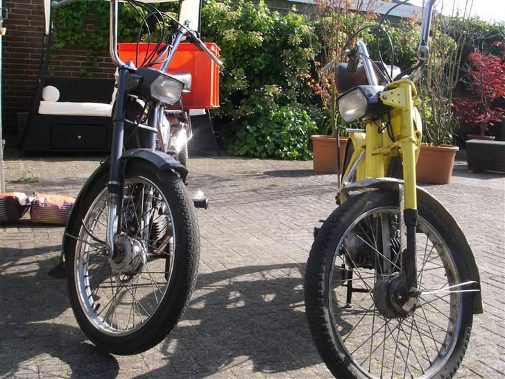 Puch Maxi K "Det Gule Ådsel" billede 9