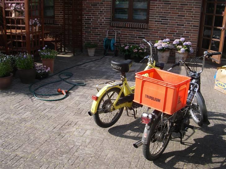 Puch Maxi K "Det Gule Ådsel" billede 10