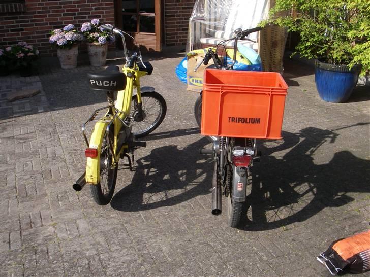 Puch Maxi K "Det Gule Ådsel" billede 11