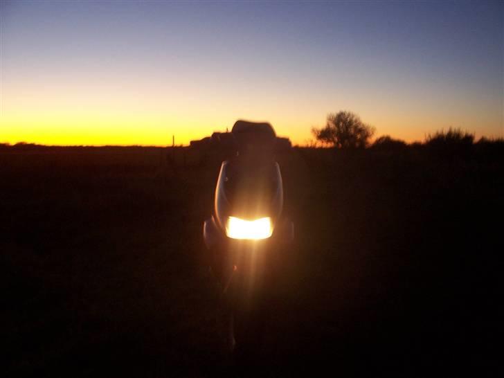 Aprilia Sr50 DiTech (TIL SALG!!!) billede 6