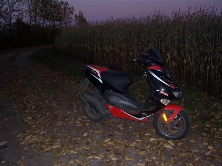 Aprilia Sr50 DiTech (TIL SALG!!!) billede 11