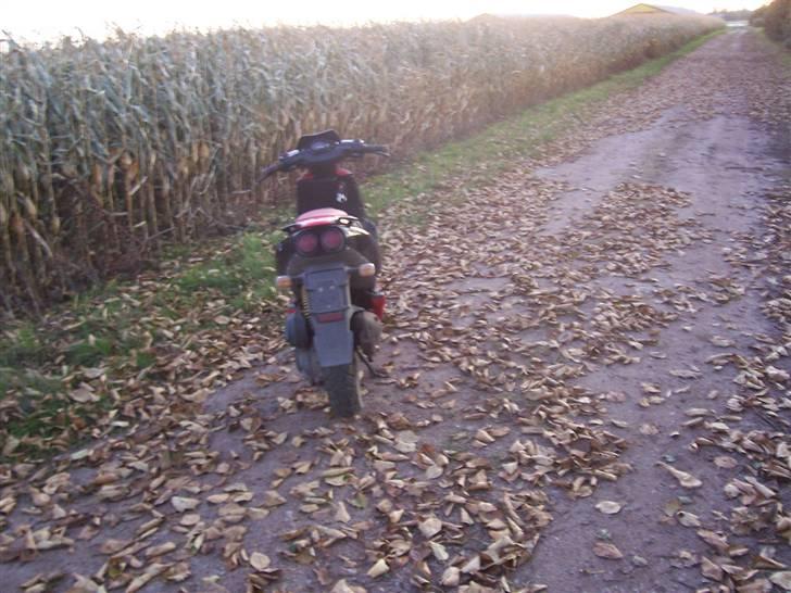 Aprilia Sr50 DiTech (TIL SALG!!!) billede 13