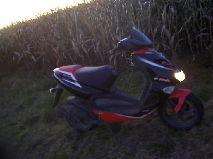 Aprilia Sr50 DiTech (TIL SALG!!!) billede 16