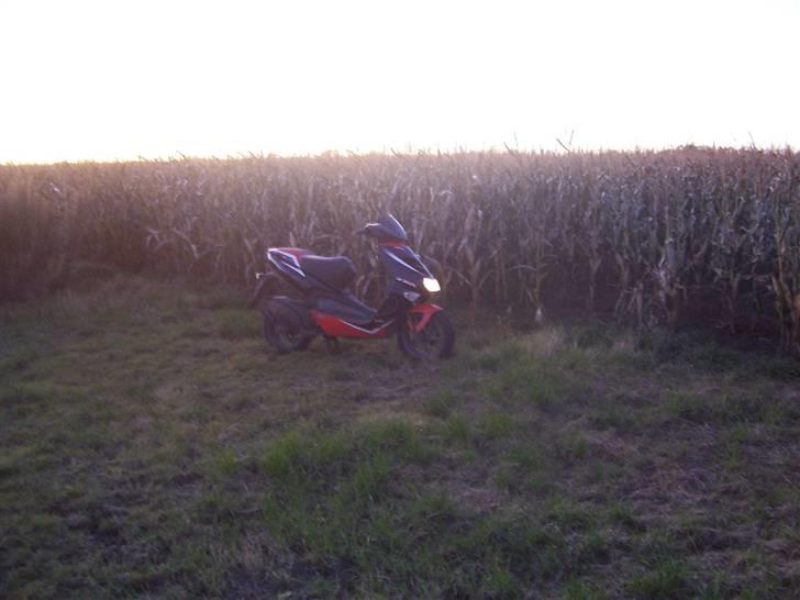 Aprilia Sr50 DiTech (TIL SALG!!!) billede 17