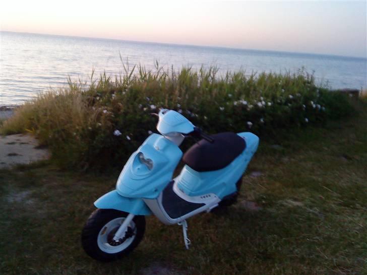 PGO Hot 50 billede 6