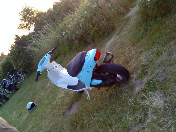 PGO Hot 50 billede 7