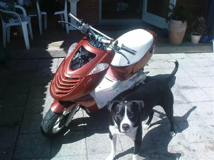 Aprilia Sonic AC - efter :D billede 16