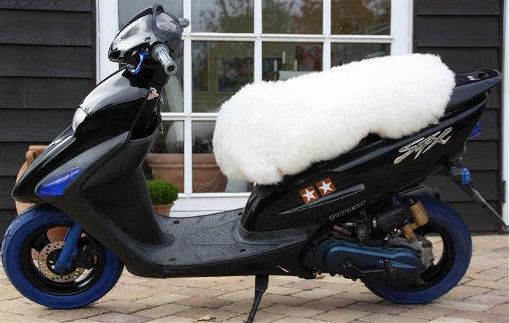 Honda Sfx billede 1