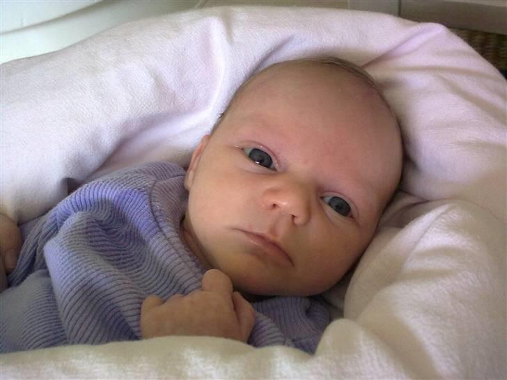 Yamaha jog space - freja :D billede 12