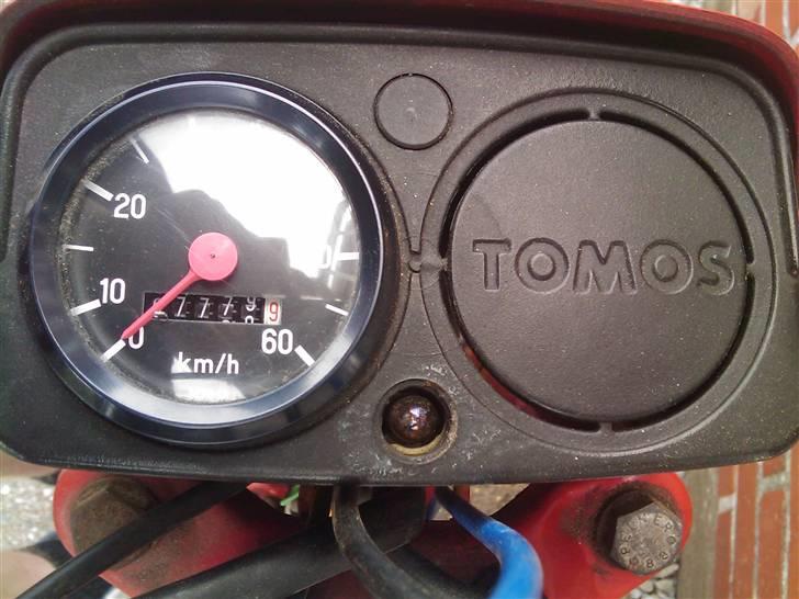 Tomos quadro a-35_________solgt billede 10