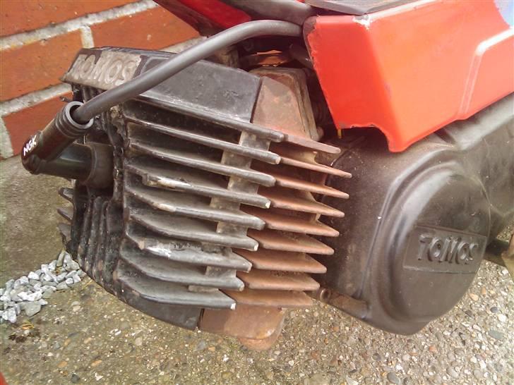 Tomos quadro a-35_________solgt billede 11