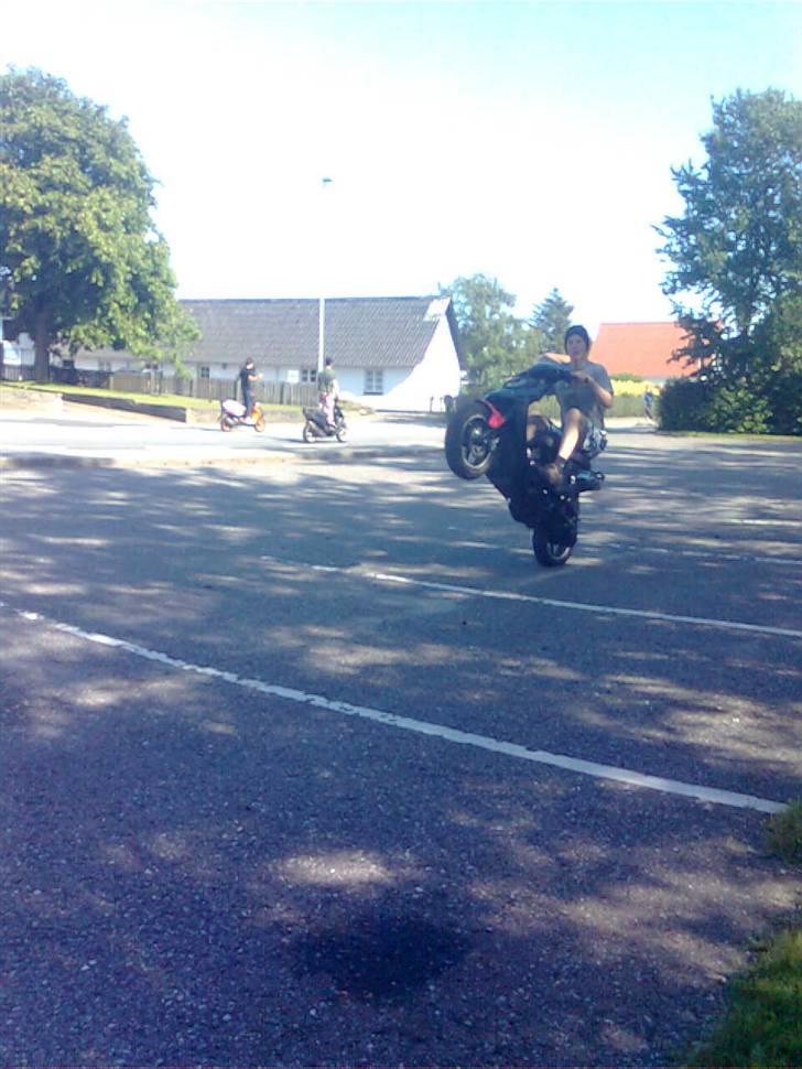 PGO hot 2006 Taget af Politiet billede 2