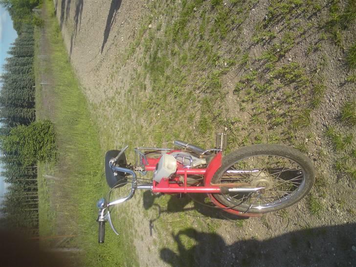 Puch Maxi P billede 2