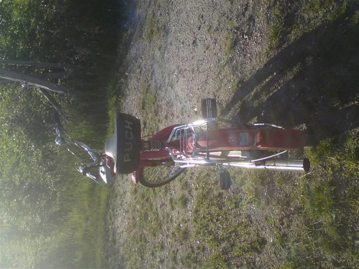 Puch Maxi P billede 3