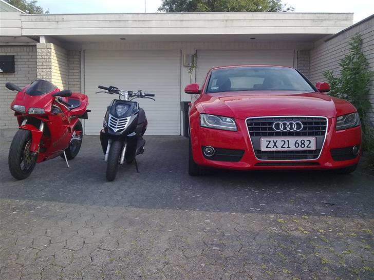 Aprilia Sonic | Solgt billede 15