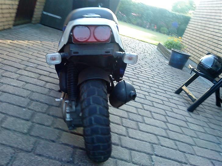 PGO Hot 50 *R-Setup* SOLGT billede 5