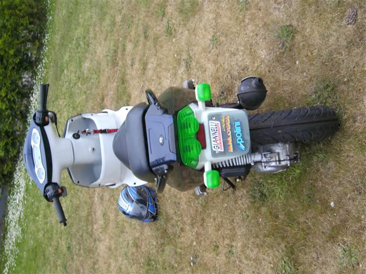 PGO dr. big [SOLGT] billede 5