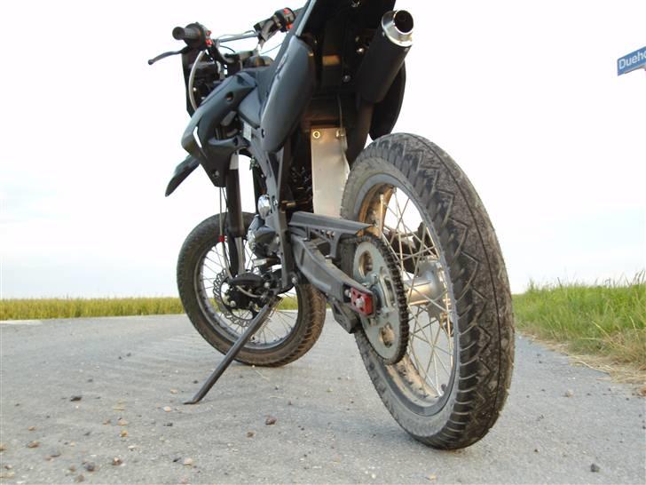 Apollo Orion   DD (solgt) billede 1