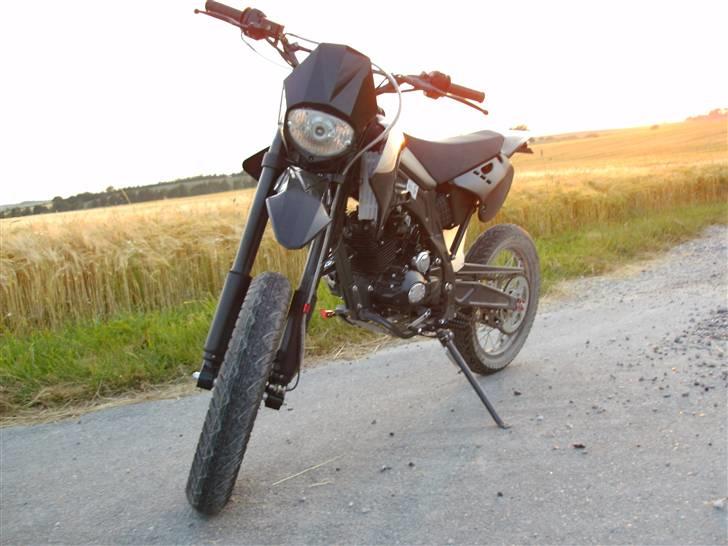 Apollo Orion   DD (solgt) billede 3