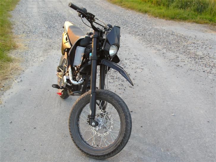 Apollo Orion   DD (solgt) billede 4