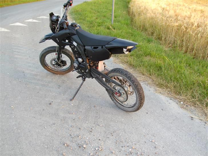 Apollo Orion   DD (solgt) billede 8