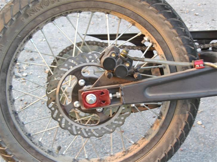 Apollo Orion   DD (solgt) billede 9