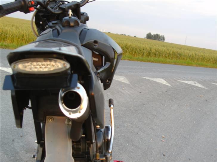 Apollo Orion   DD (solgt) billede 10