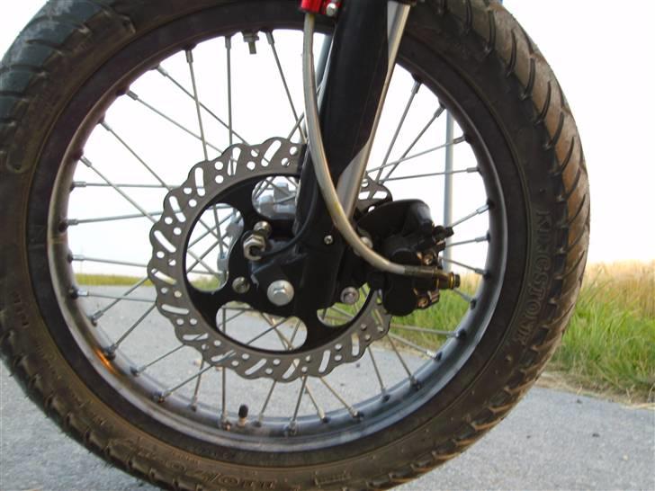 Apollo Orion   DD (solgt) billede 12